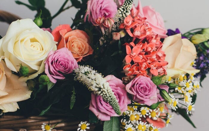 Blog, Blog, Lookvalencia peluquería de autor y estética